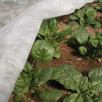 Agroplėvelė ORTOCLIMA PLUS 30 g/m2, 2.40 x 5 m, balta