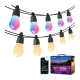 Išmanioji lauko LED lempučių girlianda Lepro ZB1-15 Wi-Fi RGB+IC, 15 m