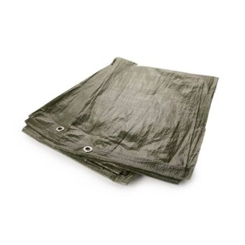 Apsauginis tentas 8x12 m, 100g/m²