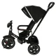 Ikonka TRIKE FIX Elite 2-in-1 Tricycle / Stroller, Black