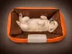 Pet Bed for Dogs and Cats, Non-Slip Base, Orange, Size S