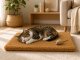 Self-Heating Mat for Dogs and Cats, Brown, 56x44 cm