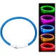 Šviečiantis LED RGB antkaklis šunims ir katėms, L dydis (iki 70 cm)