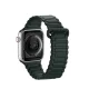 Dux Ducis Armor Strap silikoninis magnetinis dirželis Apple Watch 42/44/45/49 mm, žalias