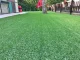Dirbtinė žolė IRISH MAT PLUS 2x5 m, 32 mm, žalia