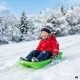 Žalios plastikinės rogutės su atlošu ir stabdymo rankenomis, 64 cm