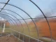 Šiltnamis KLASIKA TUBE 3x6 m (18 m2) su pamatu ir 4 mm polikarbonatu