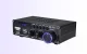 Blitzwolf AS-22 garso stiprintuvas 45W su Bluetooth 5.0 ir pulteliu