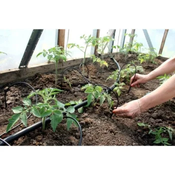 Watering System KLASIKA SPIDER 4 (With Pressure)