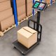 Longwell Industrial Ltd H-008 elektroninės sandėlio svarstyklės, 200 kg, LCD