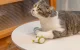 Cheerble Wicked Mouse Interactive Ball Toy for Dog Cat, Green