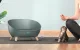 Išmanusis termoreguliuojamas guolis Petoneer Cozy Sofa PN-110031-01