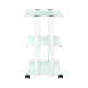Giovanni 1041 Beauty Salon Trolley