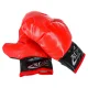 Kids Boxing Punch Pear with Gloves