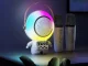 Portable Karaoke Machine with 2 Wireless Microphones and Bluetooth Speaker