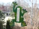 Frog Window Thermometer with Suction Cups, Green