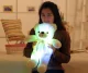 Pliušinis meškiukas su RGB apšvietimu, 50 cm