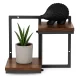 2-Tier Wall Plant Shelf Industrial Hanging Shelves for Plants and Decor ModernHome
