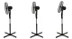 Longwell Industrial Ltd H-067 Pedestal Fan 45W, 3 Modes, Black