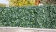 Dirbtinė gyvatvorė TENAX DIVY LAURUS NET, 15x3 m, žalia