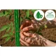 Plonos PL-940 Plant Support Stakes 180 cm, Green, 10 Pcs