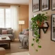 ModernHome Wall Mounted Plant Shelf Diamond Shaped Floating Shelf for Indoor Plants Loft