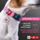 Waudog Classic Dog collar with QR code size M, Pink