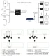 HDMI signalo ilgintuvas per Cat5e/Cat6 iki 200m 1080P