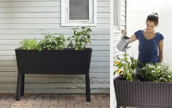Pakelta lysvė su kojelėmis Keter Easy Grow 114 x 49.3 x 76 cm, antracito