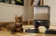 Oneisall PFD-002 Automatic Double Pet Feeder WiFi 5G/2.4G 2.1kg