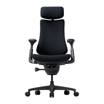 Ergonomiška kėdė Libernovo Omni 48 cm, juoda