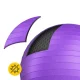 Gimnastikos kamuolys 4Fizjo 1760, 85 cm, violetinis