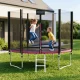 4FIZJO CLASSIC Garden Trampoline with Net and Ladder 312 cm 10 FT, Pink-Black