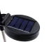 Solarinis sodo LED šviestuvas Kiaulpienė, daugiaspalvis, 70cm (2 vnt.)