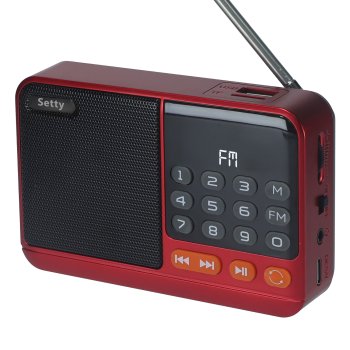 Setty mini FM radijas ir Bluetooth garsiakalbis SFM-01M