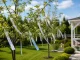 Reflective Bird Repellent Tape 5cm x 110m, Silver