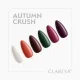 Claresa Gel Polish Autumn Crush 1 5g