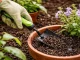 Garden Tool Set: Secateurs, Hoe, Trowel, Fork, 4 Pcs