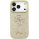 Apsauginis dėklas Guess, skirtas iPhone 17 Pro, Gold (auksinis)