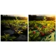 Heavy Duty Weed Barrier Fabric Plonos 5.25 x 164 ft 90g/m² with 100 Staples, Black-Green