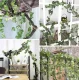 Gardlov Artificial Ivy - Garland 6.3m, Green