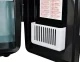 Picnic Beach Mini Cooling Box for Food Drink 220V/12V, 4L, Black