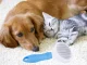 Self Cleaning Pet Comb Dog Cat Rabbit Puppy Massage Brush Tool, Blue/White