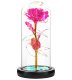 Eternal Rose in Glass LED, Pink