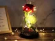 Eternal Artificial Rose with LED in a Glass Dome Best Gift