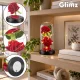 Amžinoji rožė po stiklo gaubtu su LED apšvietimu Glimz, 22 cm, raudona