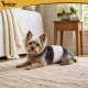 Purlov Dog Diapers S-M (30-46 cm), 12 pcs
