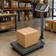 Platforminės svarstyklės su LCD ekranu, 100 kg, pilkos