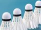 Badminton Feather Shuttlecocks 3-Pack Durable Training Set, White