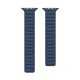 Dux Ducis Strap BL magnetinis dirželis Apple Watch 38/40/41mm mėlynas